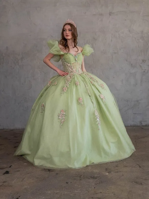 Off Shoulder Corset Ball Gown by Calla SCL30012