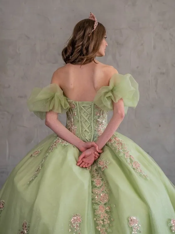 Off Shoulder Corset Ball Gown by Calla SCL30012