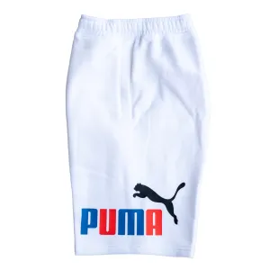 Puma Fleece Big 10' Shorts (White)