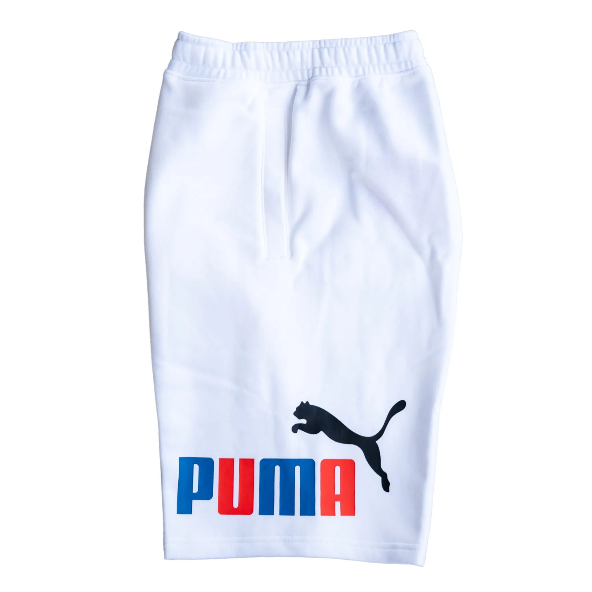 Puma Fleece Big 10' Shorts (White)