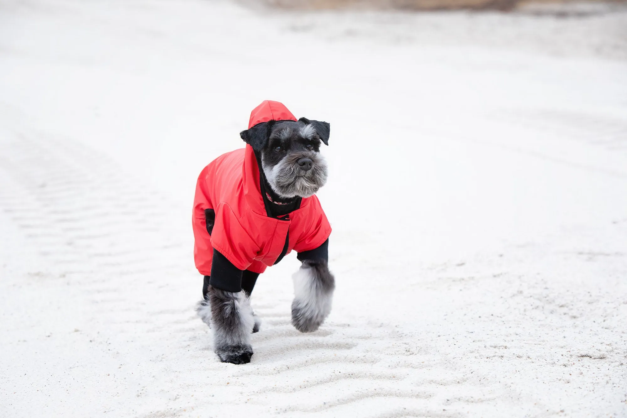 Snow Suit - Red & Black