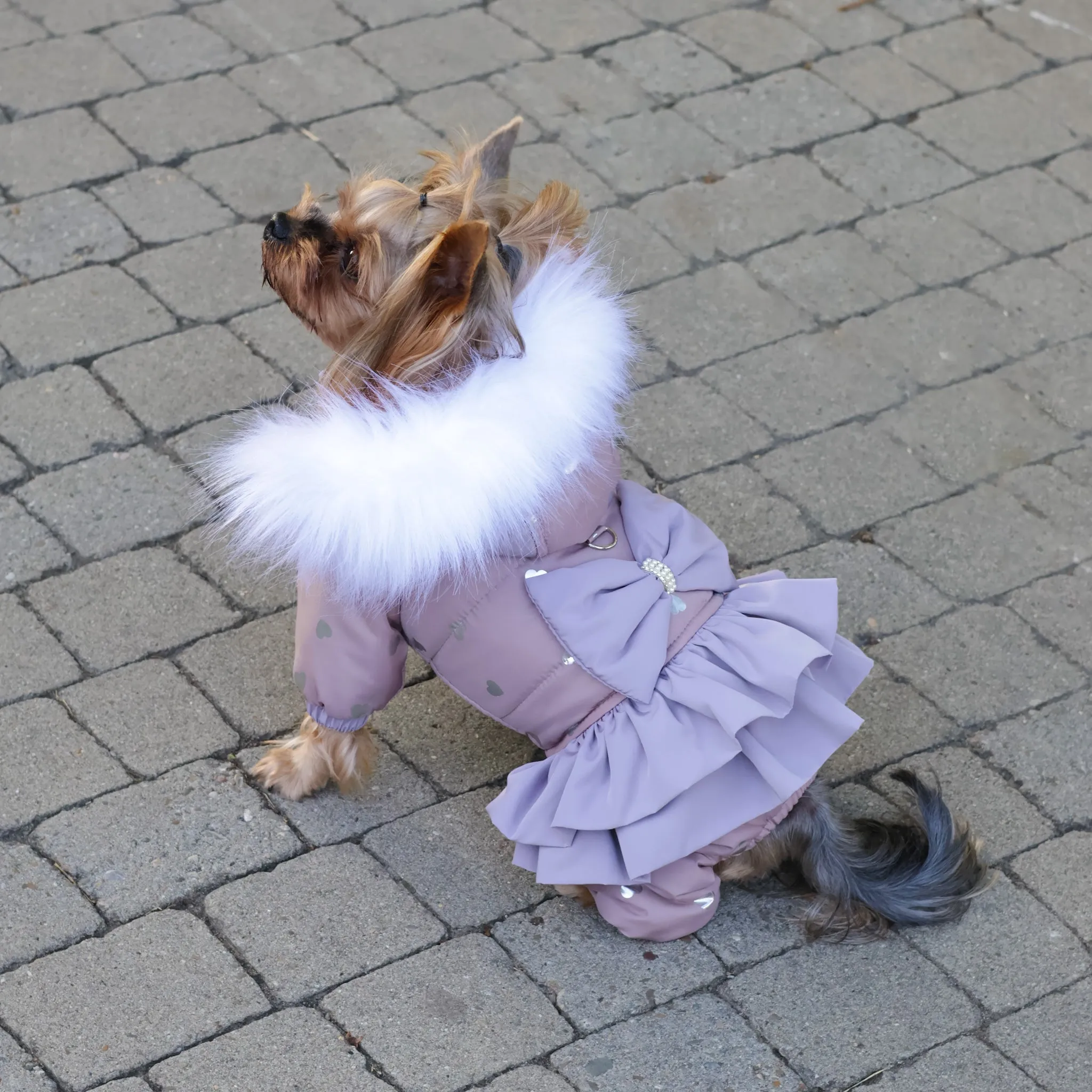 Winter cute dog snowsuit