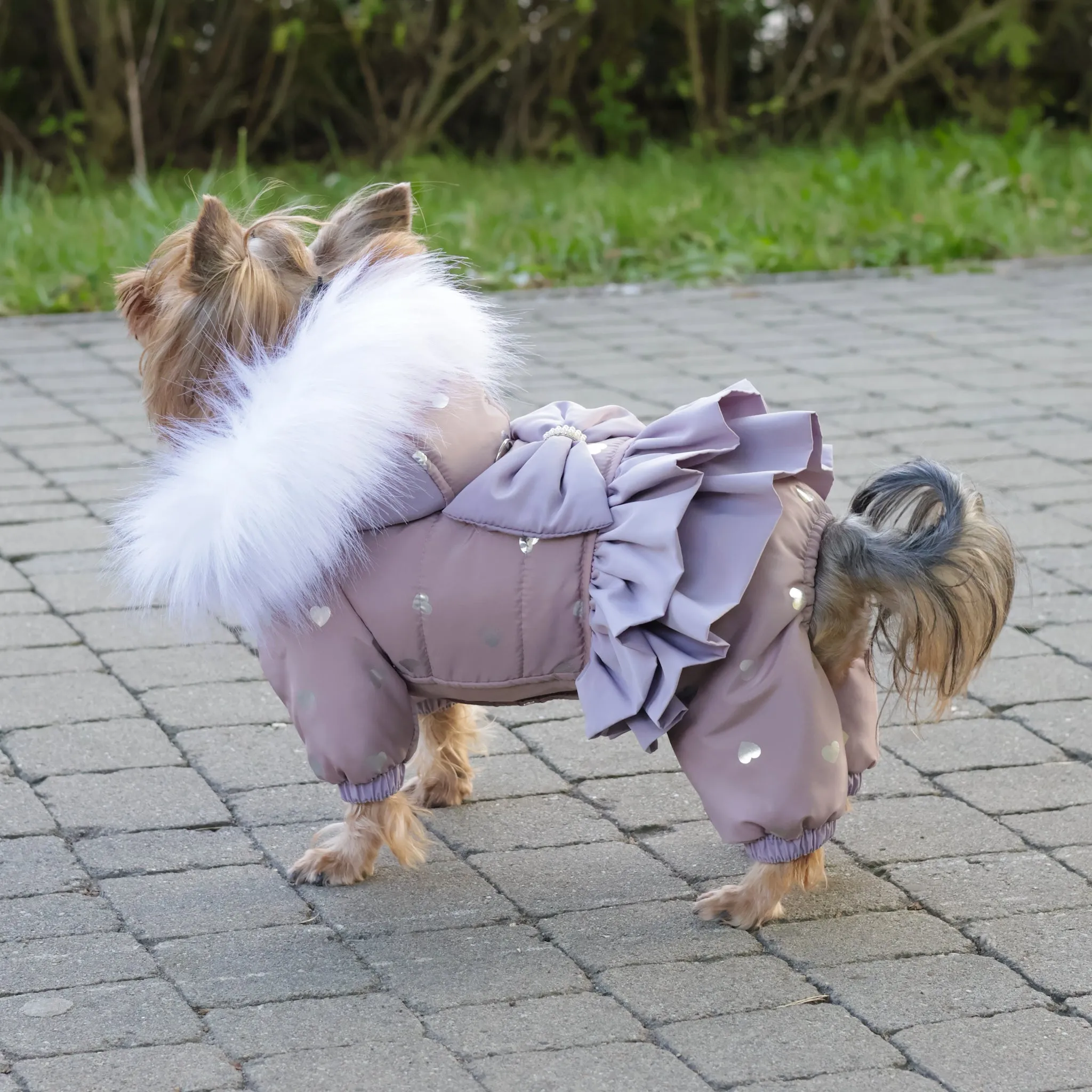 Winter cute dog snowsuit
