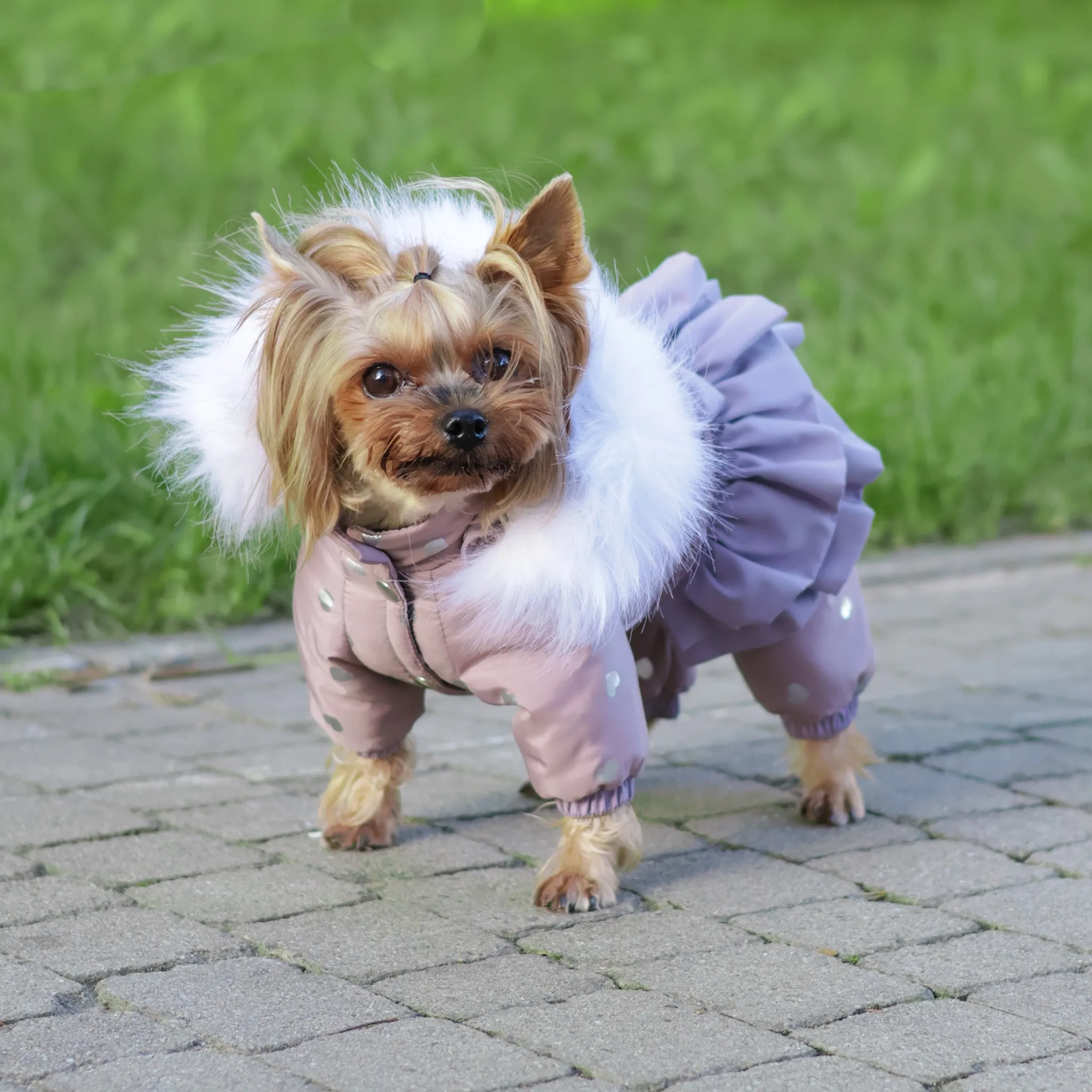 Winter cute dog snowsuit