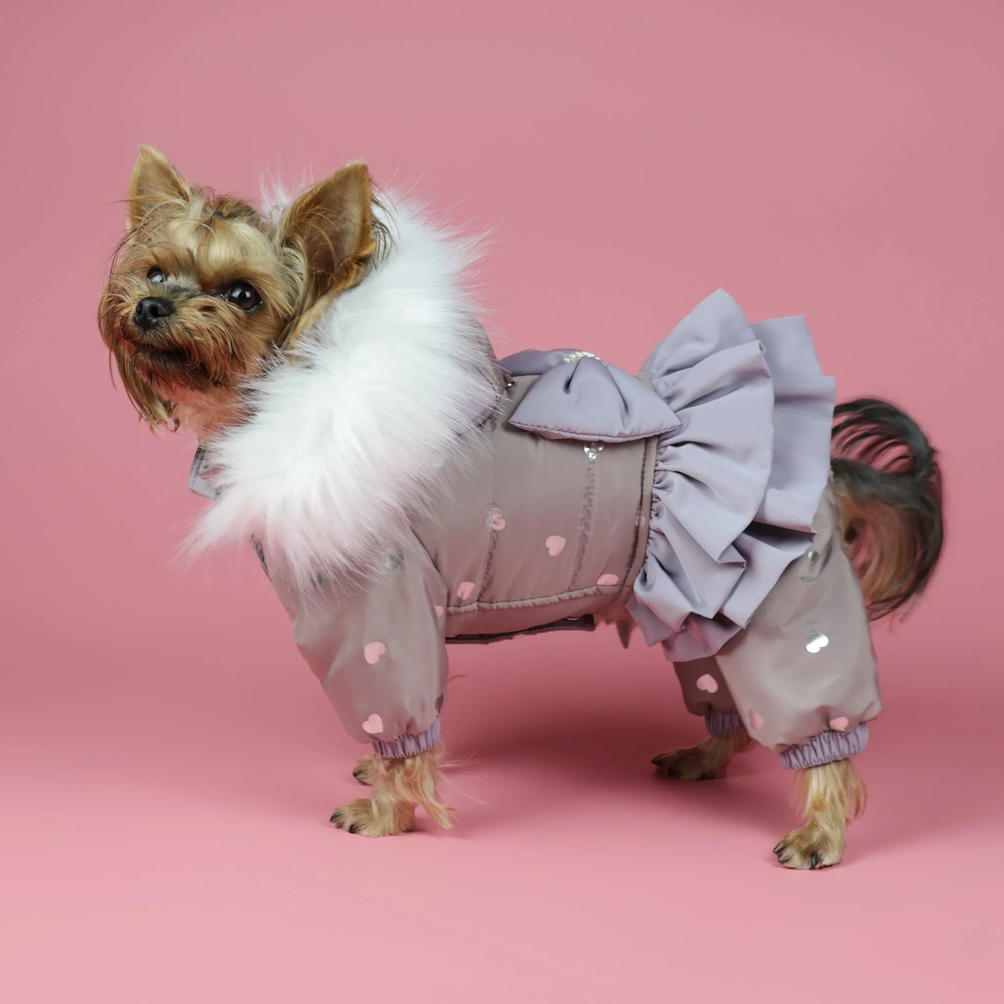 Winter cute dog snowsuit